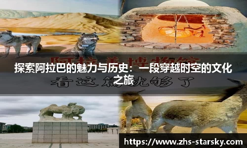 星空体育官网
