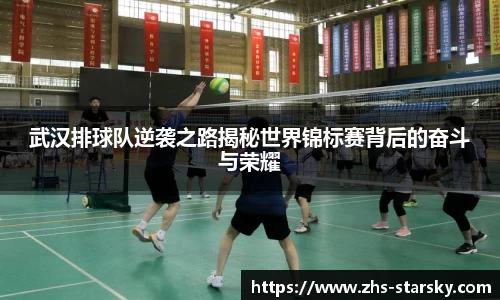 星空体育官网入口